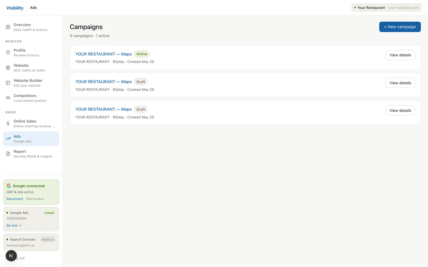 Online Presence & Growth — Google Ads campaigns shown against POS revenue